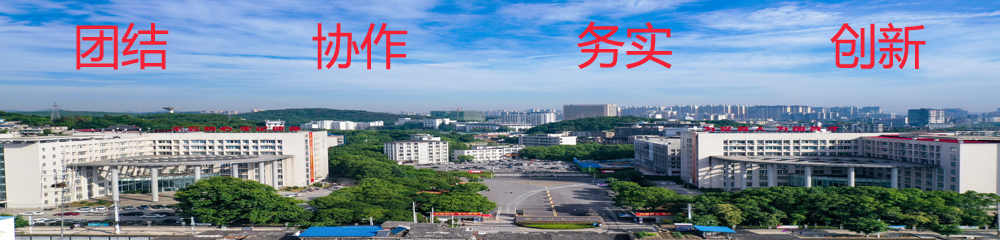 团结协作务实创新